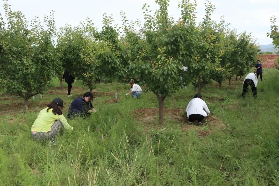 微信图片_20210728113145.jpg 图片