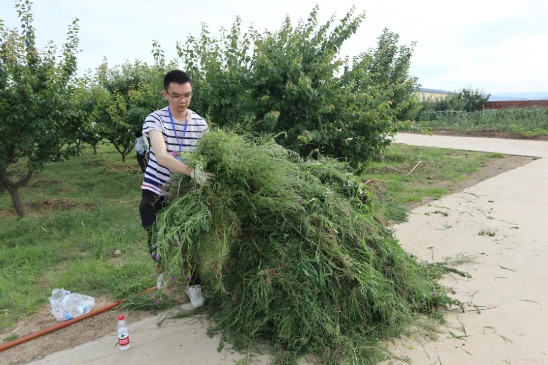 微信图片_20210728113148.jpg 图片