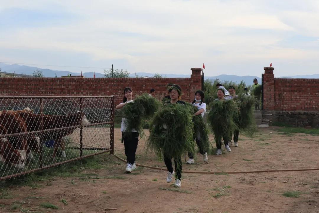 微信图片_20210728113150.jpg 图片