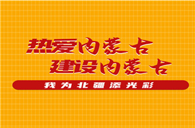 热爱内蒙古、建设内蒙古——我为北疆添光彩丨自治区团委开展民族团结进步主题党团日活动